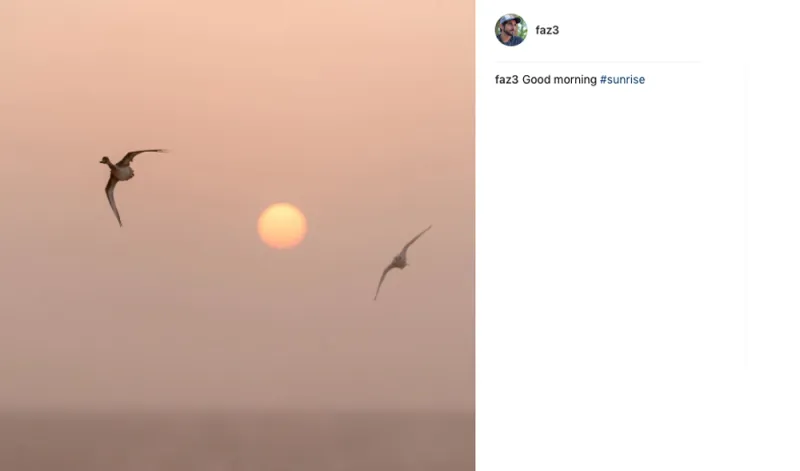 حياة ولي عهد دبي.. كما يرويها لنا على إنستغرام (صور)