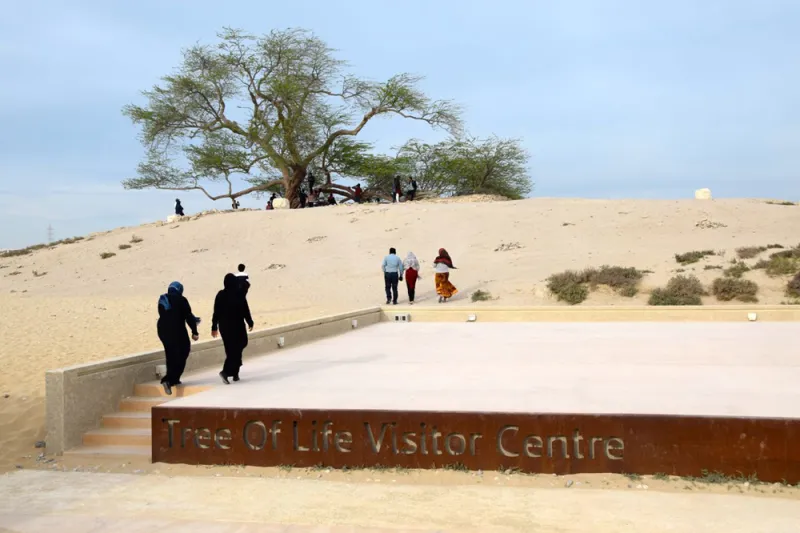 أماكن أثرية غامضة في عالمنا العربي.. «مغارة هرقل» و«البارون»