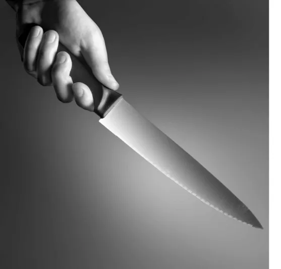 مفاجأة في قتل أم وابنتها وطفليها طعناً بالمدينة فعلها الابن مبرراً أنها رؤيا الجنة