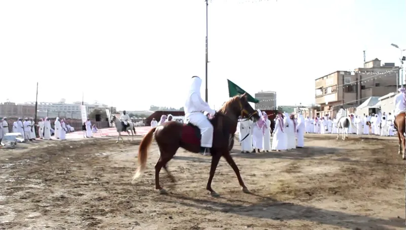 فيديو|خيول تفسد عرس سعودي وتحوله لفوضى