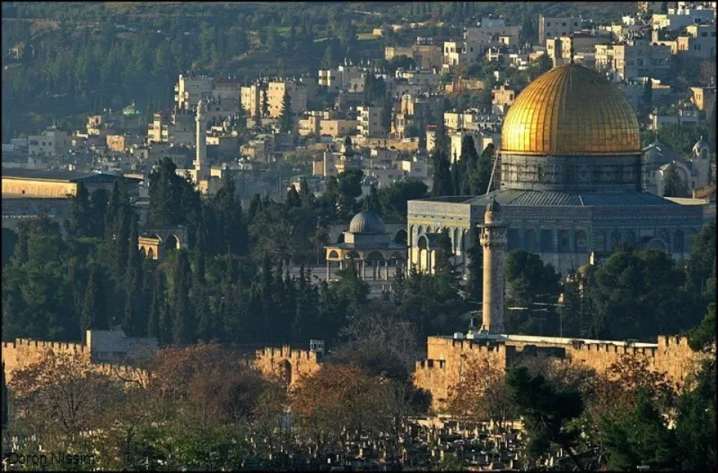 صور| شاهد.. شاهد القصة الكاملة لإنتفاضة «#جمعة_الأقصى»؟