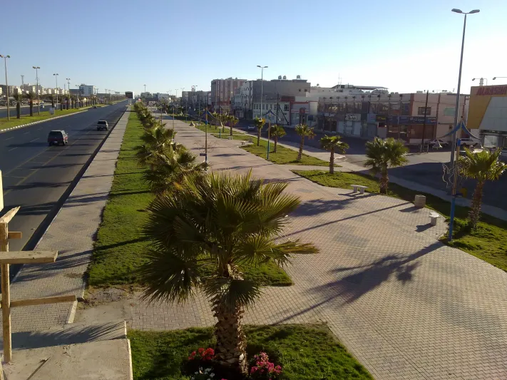 صور| «#العساريه_يحتلون_ويحلون_تويتر».. كل ما تريد معرفته عن «عروس الطبيعة»