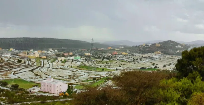 صور| «#العساريه_يحتلون_ويحلون_تويتر».. كل ما تريد معرفته عن «عروس الطبيعة»