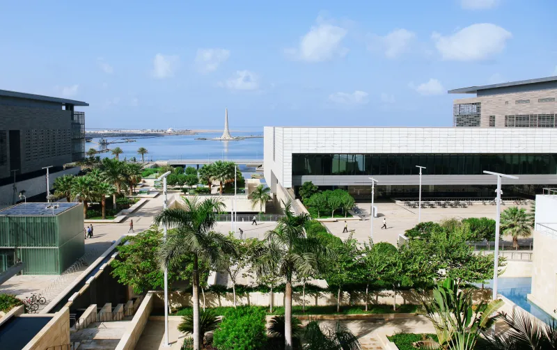 جامعة الملك عبدالله بين أفضل 50 جامعة في العالم