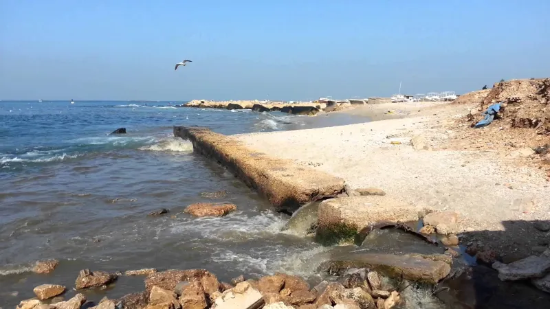 غضب في ينبع بسبب هذا المقطع