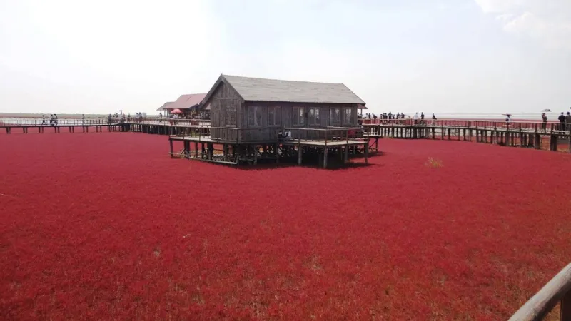 أغرب الأماكن السياحية وغير الاعتيادية في الصين