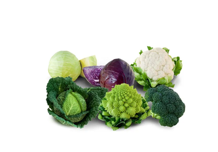 هذا هو النظام الغذائي الأفضل للمسلم خلال الحج