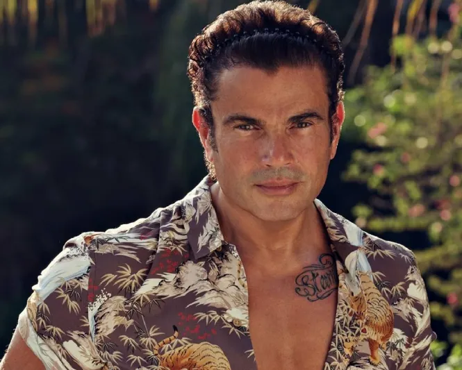 مفاجأة وراء تسريب الصورة الأولى لـ عمرو دياب ودينا الشربيني