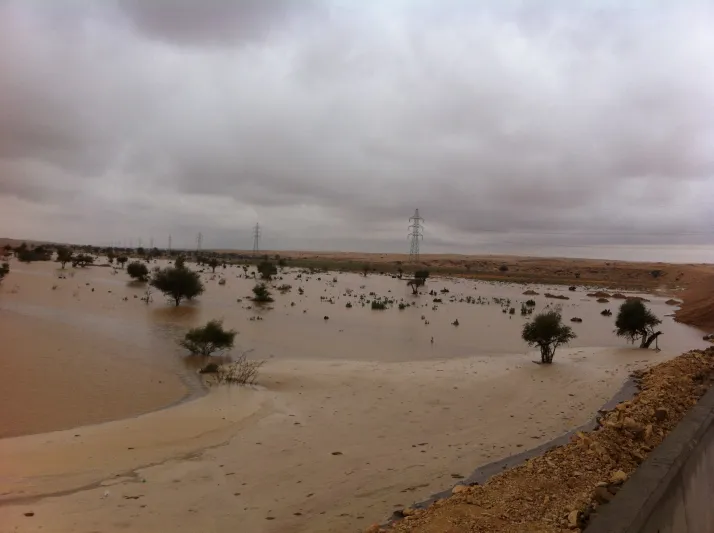 فيديو| مسيرة من السيارات تسابق سيل وادي حوران