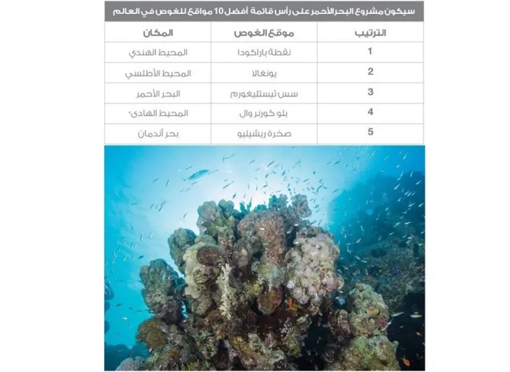 صور| التفاصيل الكاملة مشروع البحر الأحمر