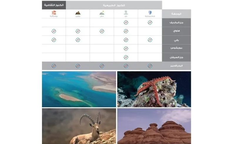 صور| التفاصيل الكاملة مشروع البحر الأحمر