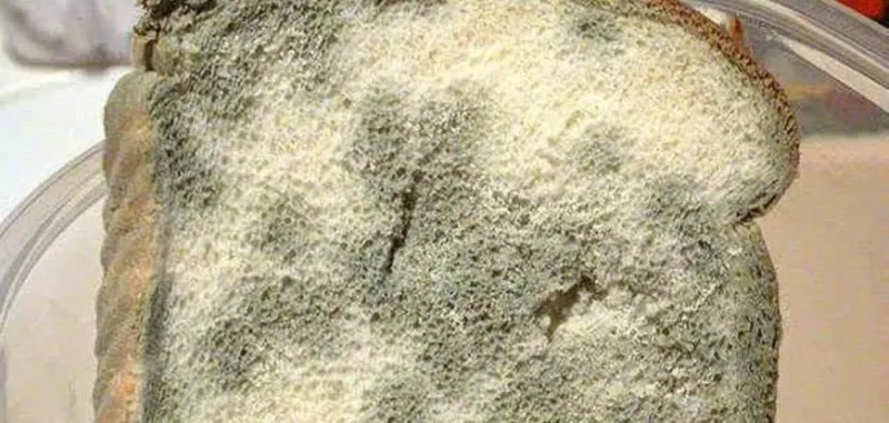 تعرف على أغرب الطرق العلاجية في التاريخ..منها ما يمارس حتى الان!