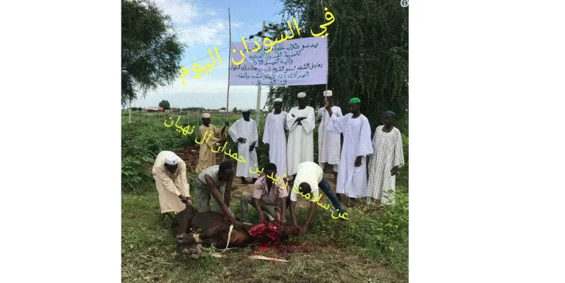 طلبة سودانيون يتقربون إلى الله من أجل شفاء زايد بن حمدان