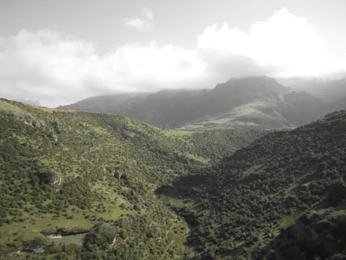  آستارا.. موطن جبال تاليش والجمال في أذربيجان