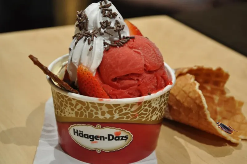 فيديو| صراصير في محل آيس كريم بالأحساء