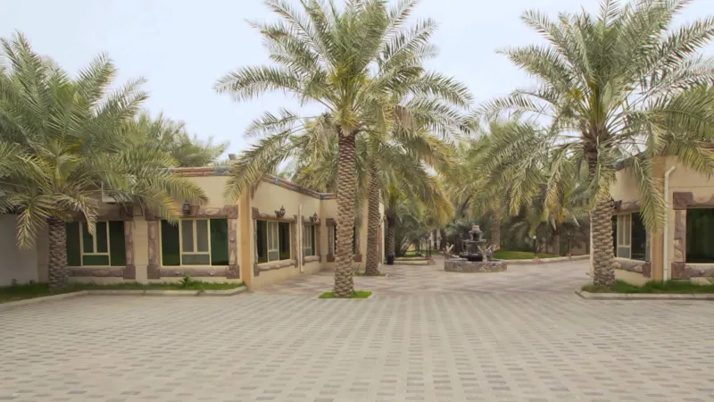 فيديو| فعالية بالأحساء تثير الجدل.. نظموا مسابقة لتكسير البيض بالرأس !