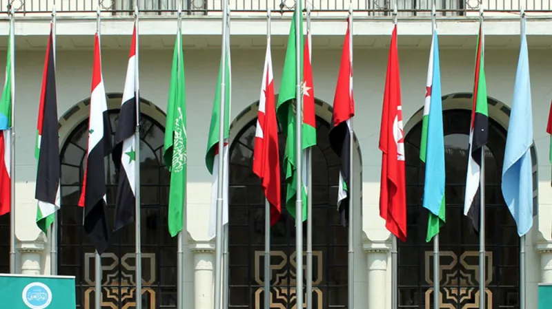 قضية الوحدة العربية في تطورها التاريخي.. هكذا ولدت