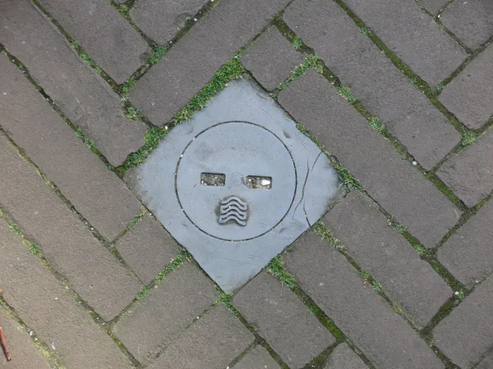 تفسير رؤية وجوه في الأشياء حولنا