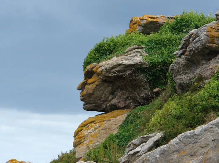 تفسير رؤية وجوه في الأشياء حولنا