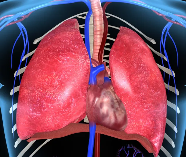 صفات وخصائص جسدية نادرة.. هل تملكها ؟