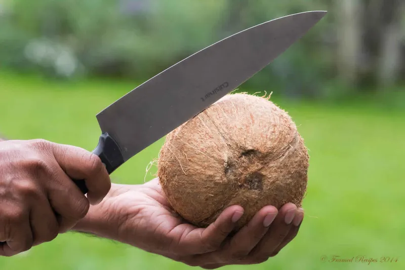 شاهد| فقط بقبضة يده .. رجل يكسر 124 ثمرة جوز الهند في 47 ثانية 