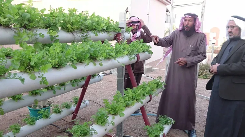 فيديو| مواطن يحوّل فناء منزله لمزرعة مائية لزراعة خضر وفواكه