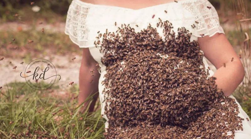 ولدت جنين ميتاً .. بعد تصويرها و النحل يغزو بطنها