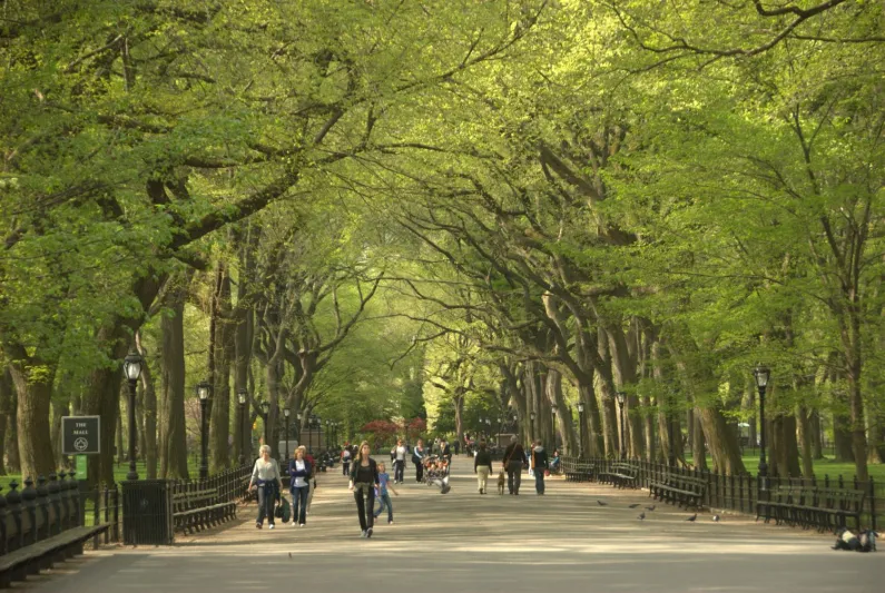 لمحة عن أفضل وجهات التسوق حول العالم هذا الشتاء 