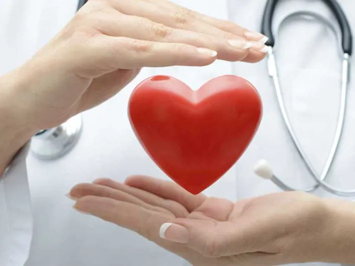 الغذاء المثالي لصحة القلب والأوعية الدموية