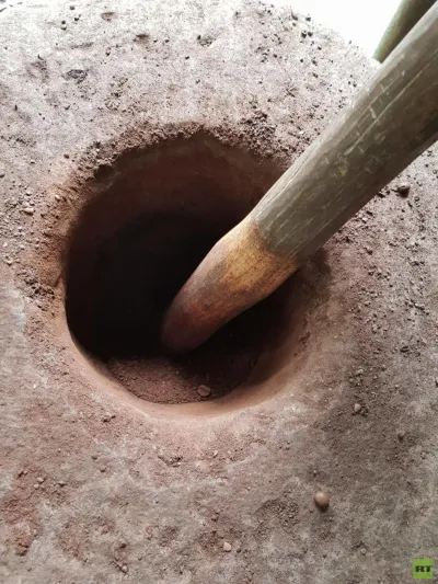 شاهد| أغلى قهوة في العالم.. مستخرجة من فضلات حيوان الزباد !