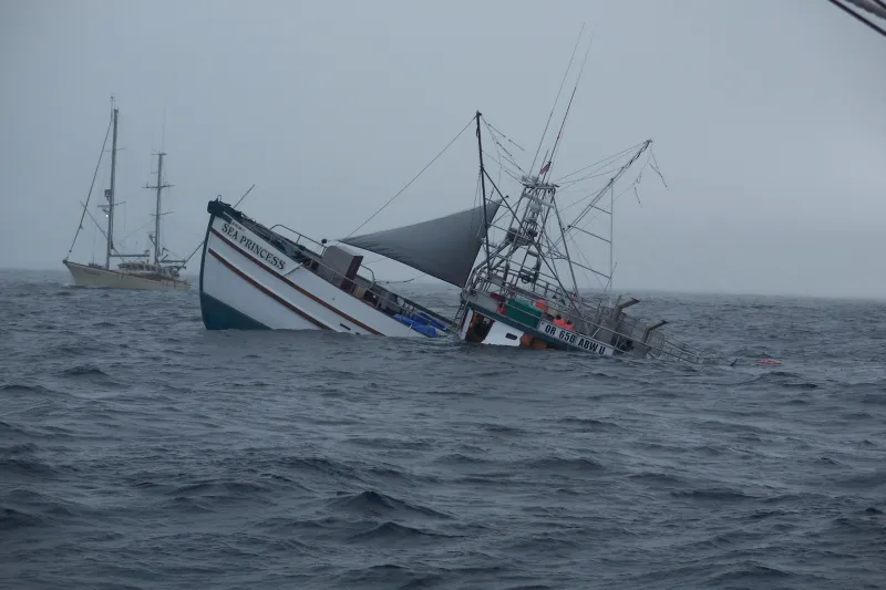 فيديو| أم أردنية تناشد الملك سلمان بعد أن فقدت أبنائها الخمسة في البحر الأحمر