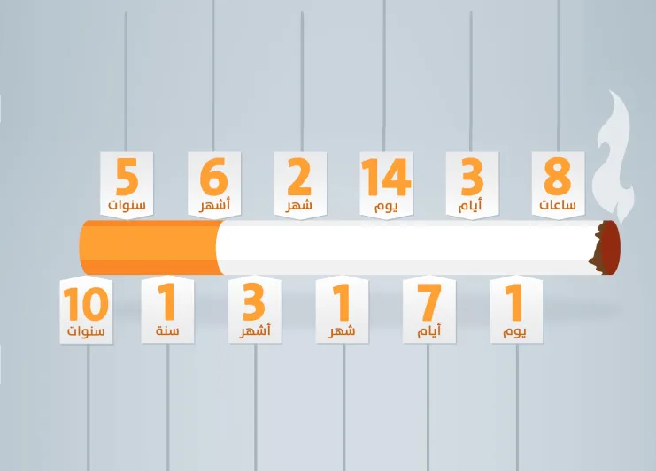 ماذا يحدث لجسمك عند الإقلاع المفاجئ عن التدخين؟ (إنفوجراف)