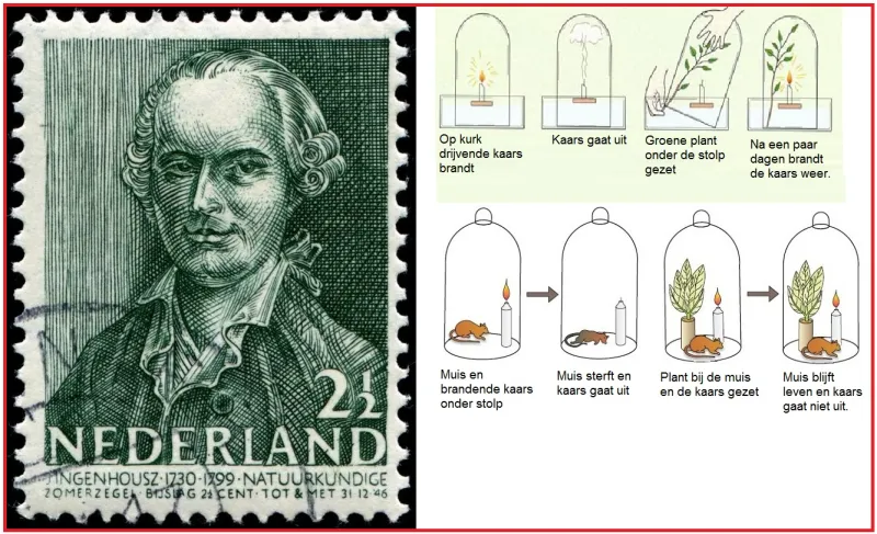 من هو «يان إينخنهاوسز» الذي يحتفل جوجل بذكرى ميلاده ؟ (فيديو)