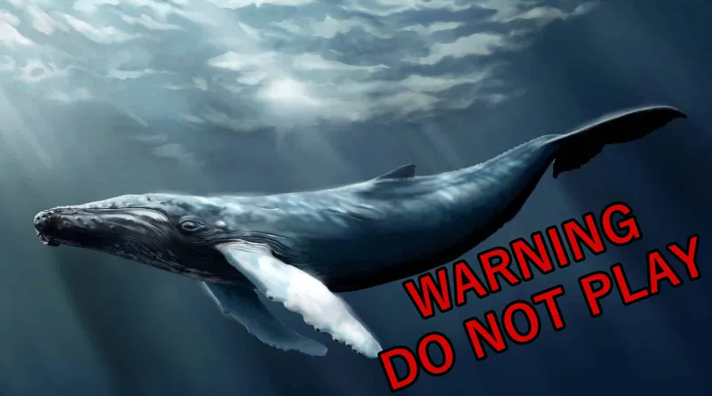 فيديو| ما هي لعبة «الحوت الأزرق»؟.. عندما يتحول اللعب إلى الانتحار