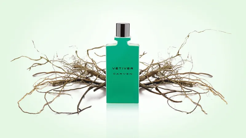 ما هو الفيتيفر؟ 10 معلومات عن عطر يفيض انتعاشاً