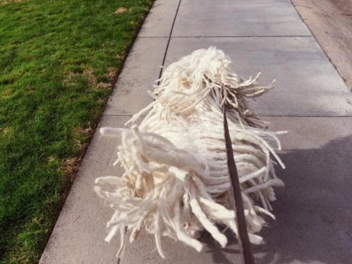  صور| يوم من حياة مارك زوكربيرج مؤسس فيس بوك