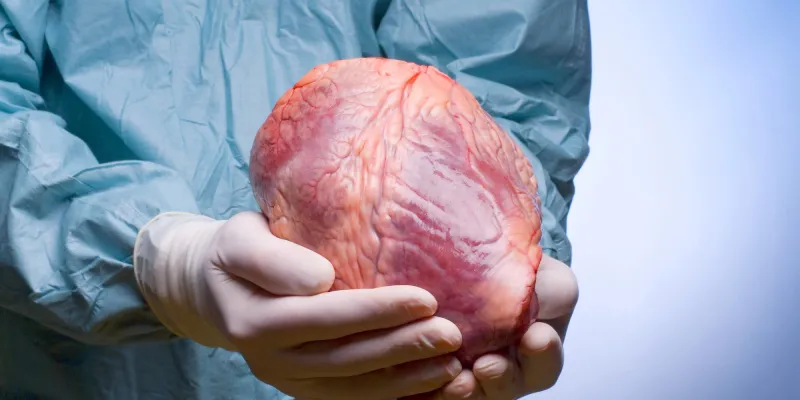 فيديو| شاب تبرع لطفله بكليته وهكذا شكرته