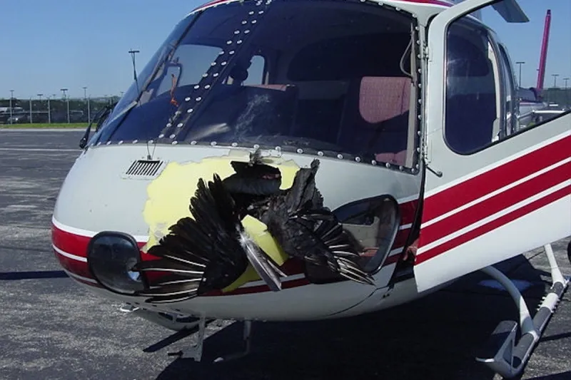 8 معلومات وحقائق خفية عن عالم الطائرات (صور)