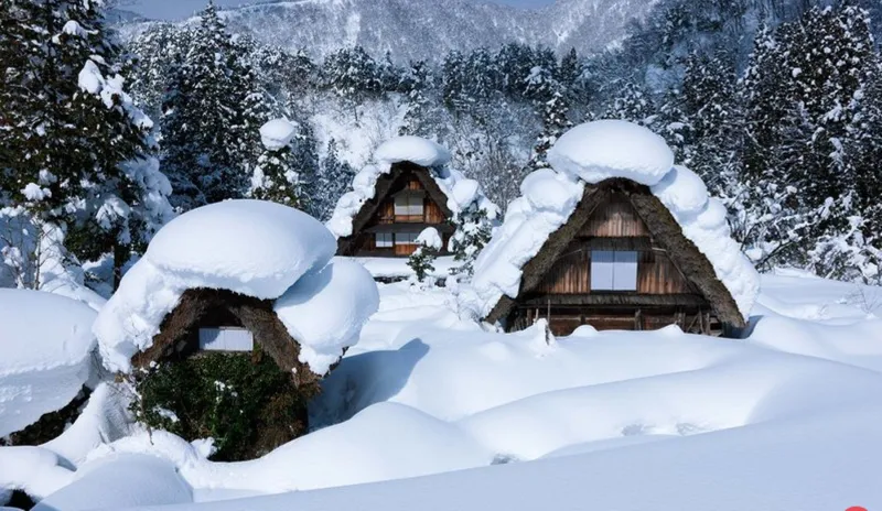 شاهد| لماذا اعتبرت «اليونسكو» هذه القرية اليابانية ضمن التراث العالمي؟