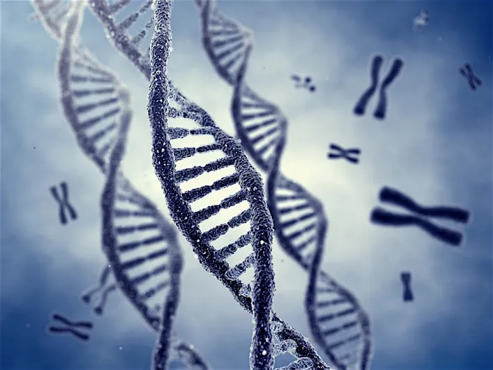 فحوصات ما قبل الزاوج.. هذا ما عليك معرفته (إنفوجراف)