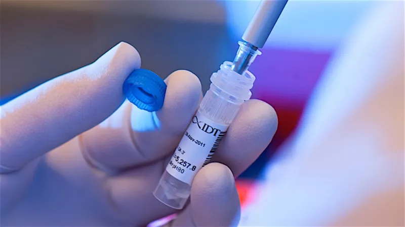 فحوصات ما قبل الزاوج.. هذا ما عليك معرفته (إنفوجراف)