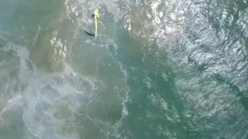 شاهد| أول عملية إنقاذ من الغرق في العالم بواسطة طائرة دون طيار