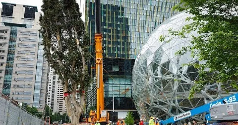 فيديو: “أمازون” تفتتح غابات مطيرة مصغرة لراحة موظفيها في “سياتل”