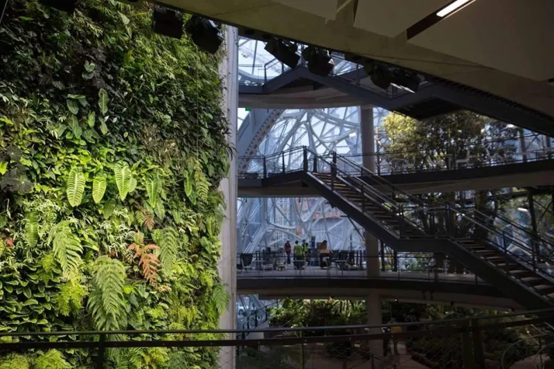 بتكلفة 4 مليارات دولار.. شاهد مقر «أمازون » الجديد