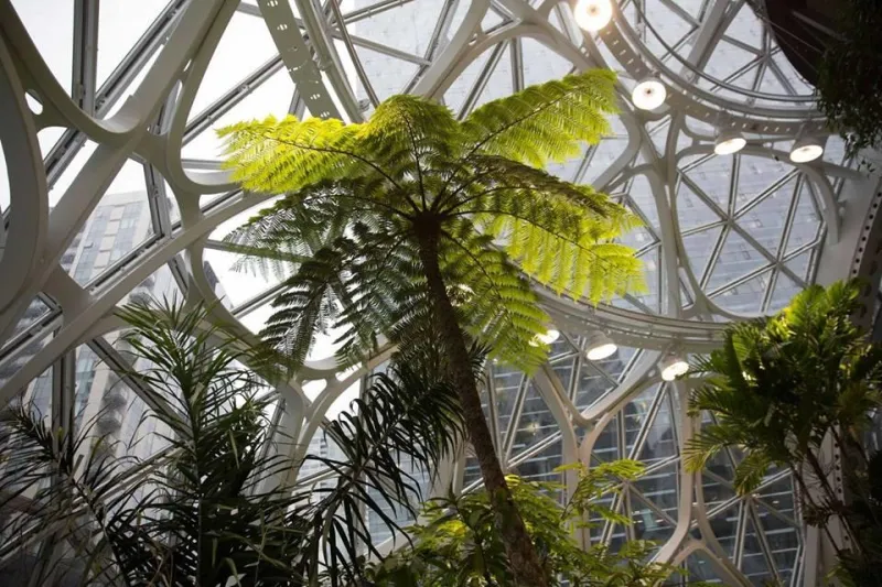 بتكلفة 4 مليارات دولار.. شاهد مقر «أمازون » الجديد