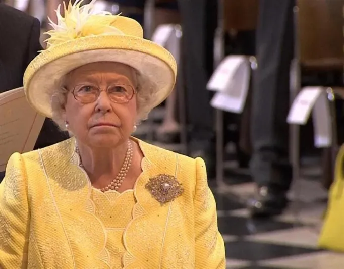 ملكة بريطانيا حزينة.. والسبب طيور البجع !