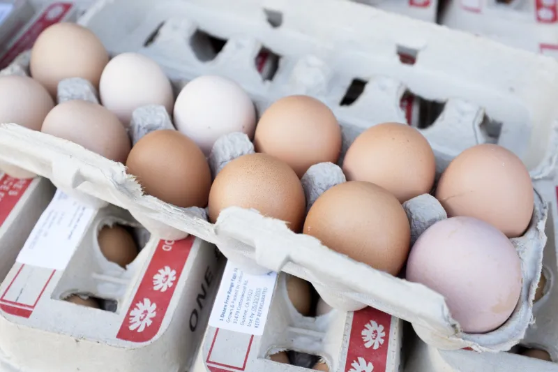 خطأ في الترجمة يتسبب في حصول طهاة فريق أولمبي على 15 ألف بيضة !