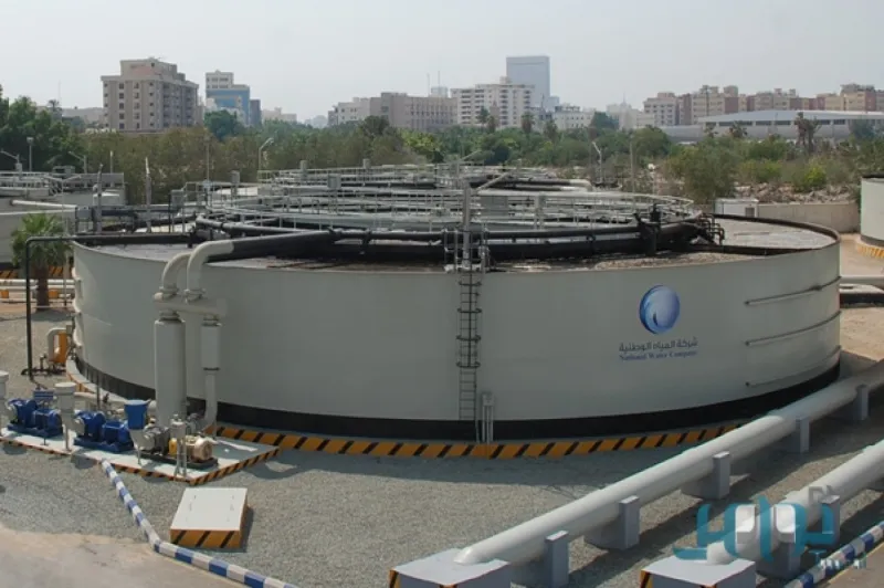 تعرف على عدد مرات دخول المملكة موسوعة غينيس (فيديو)