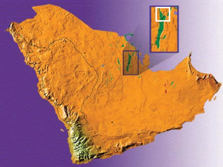 تعرف على عدد مرات دخول المملكة موسوعة غينيس (فيديو)
