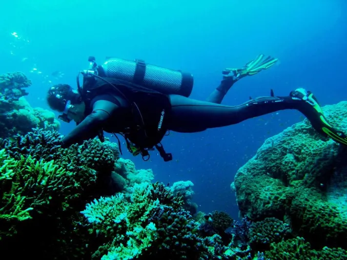 تعرف على عدد مرات دخول المملكة موسوعة غينيس (فيديو)